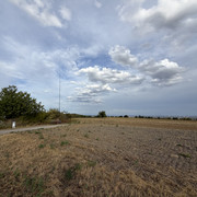 IMG 2716