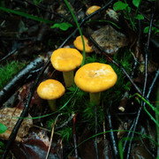 DSC07489