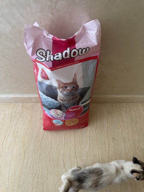 Pet we helped