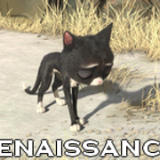 renaissance-13