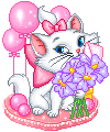 chat (79)