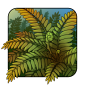 Fern