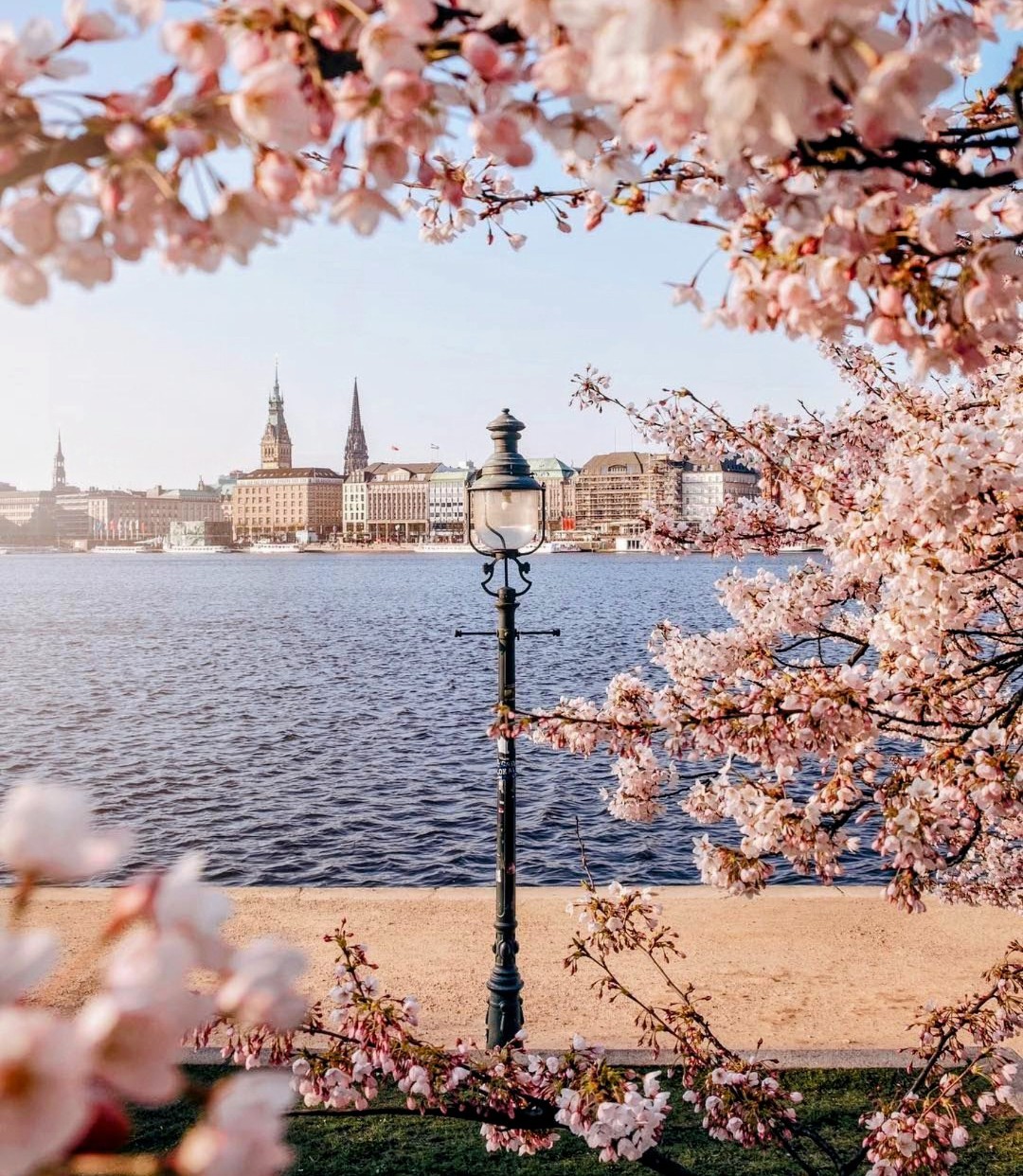https://i.ibb.co/Kxt4VsWX/ny-hamburg.jpg