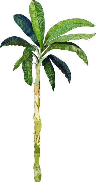 49d17fdf9c27f5dc43f4f81da49d59a5.png