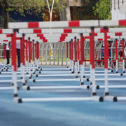 IMG-5609