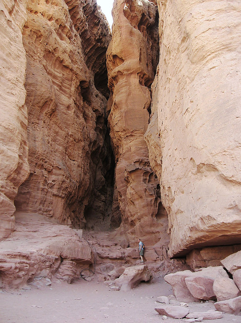 IMG-1703-a