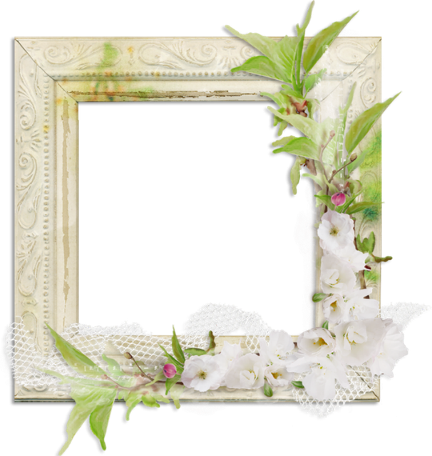 cluster-frame-61