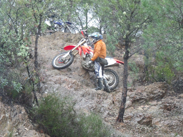 DSCF1241.jpg