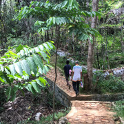 IMG-3698