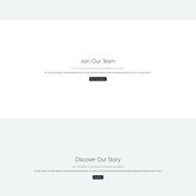 Website Preview