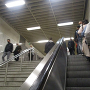 IMG-6802