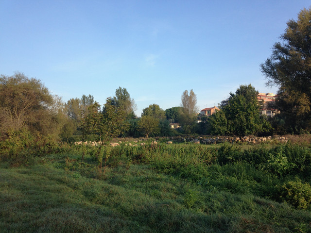 IMG-3185