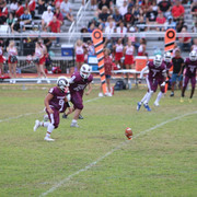IMG-2576