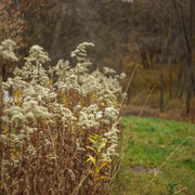 DSC02627