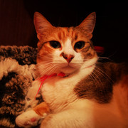 IMG-20220303-192550