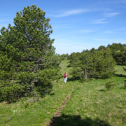 DSC04873