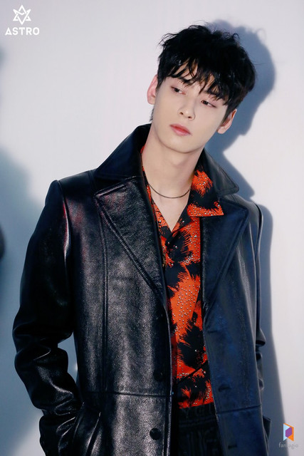 cha eun woo 1026823