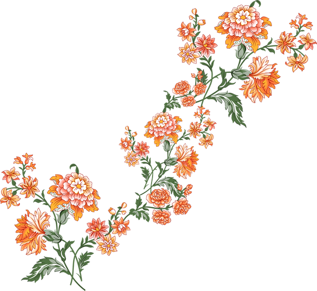 IMG 6704.png