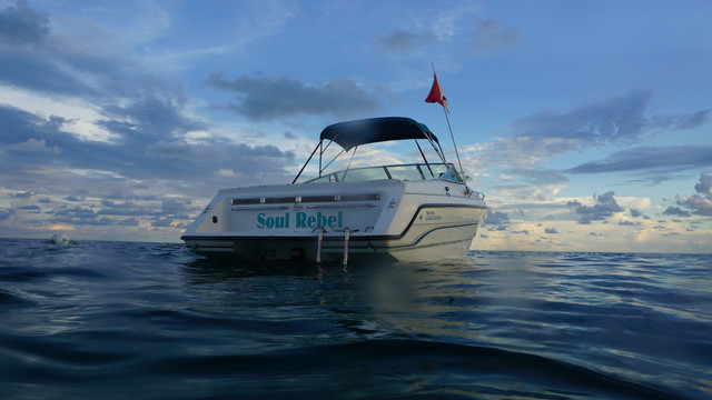 DSC03187