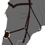suitset4 3 1