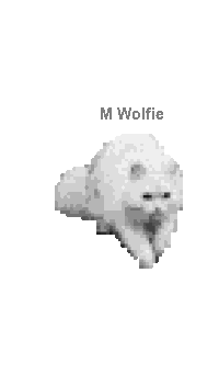 11.gif