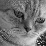 mollybw