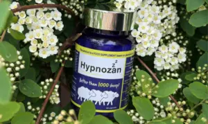 Hypnozan: Britain’s Rising Sleep Solution