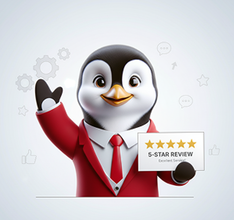 Customer Review