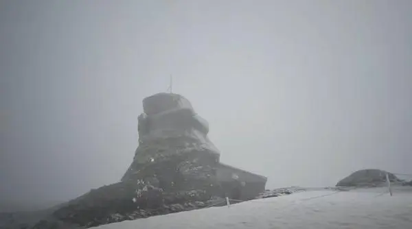 Ninge pe Vârful Omu la începutul verii, la peste 2.500 metri altitudine