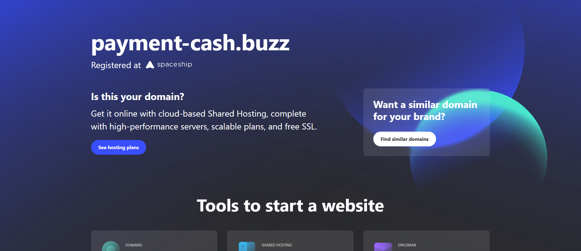 Forensic screenshot of payment-cash.buzz showing the phishing page layout