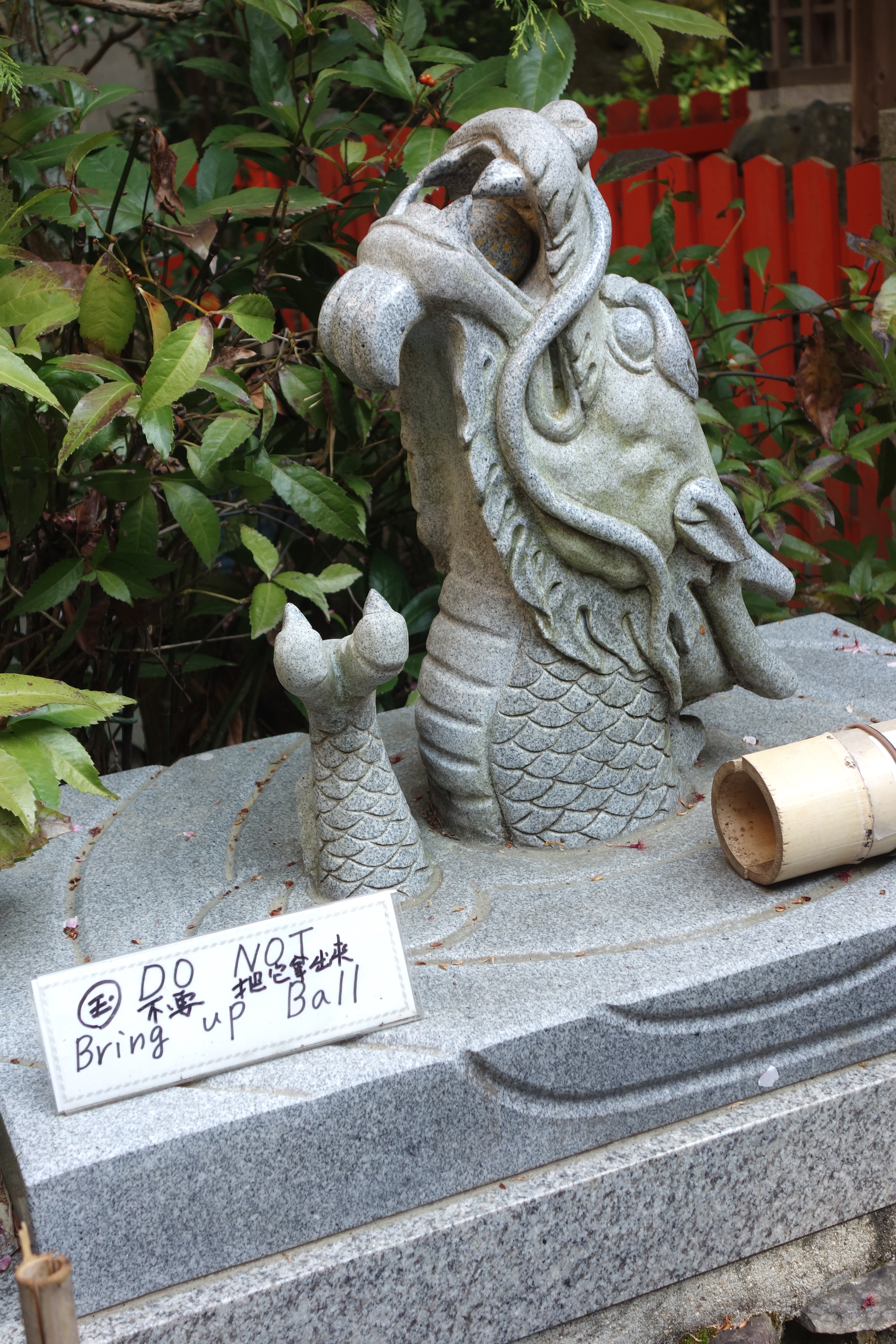 DSC09676