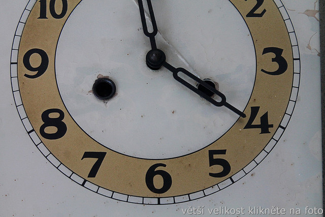 IMG-9755.jpg