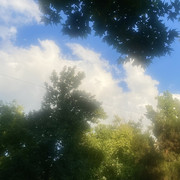 IMG 0452