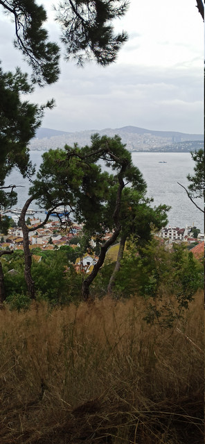 IMG 20260930 105630.jpg