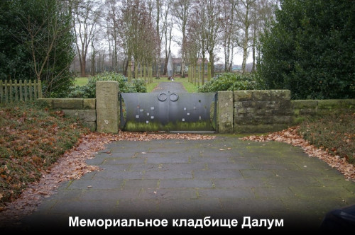 https://i.ibb.co/KzSrcTNs/image.jpg