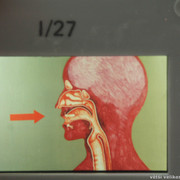 IMG-1215
