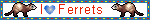 IMG 3536.webp