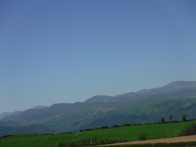 DSCF7865