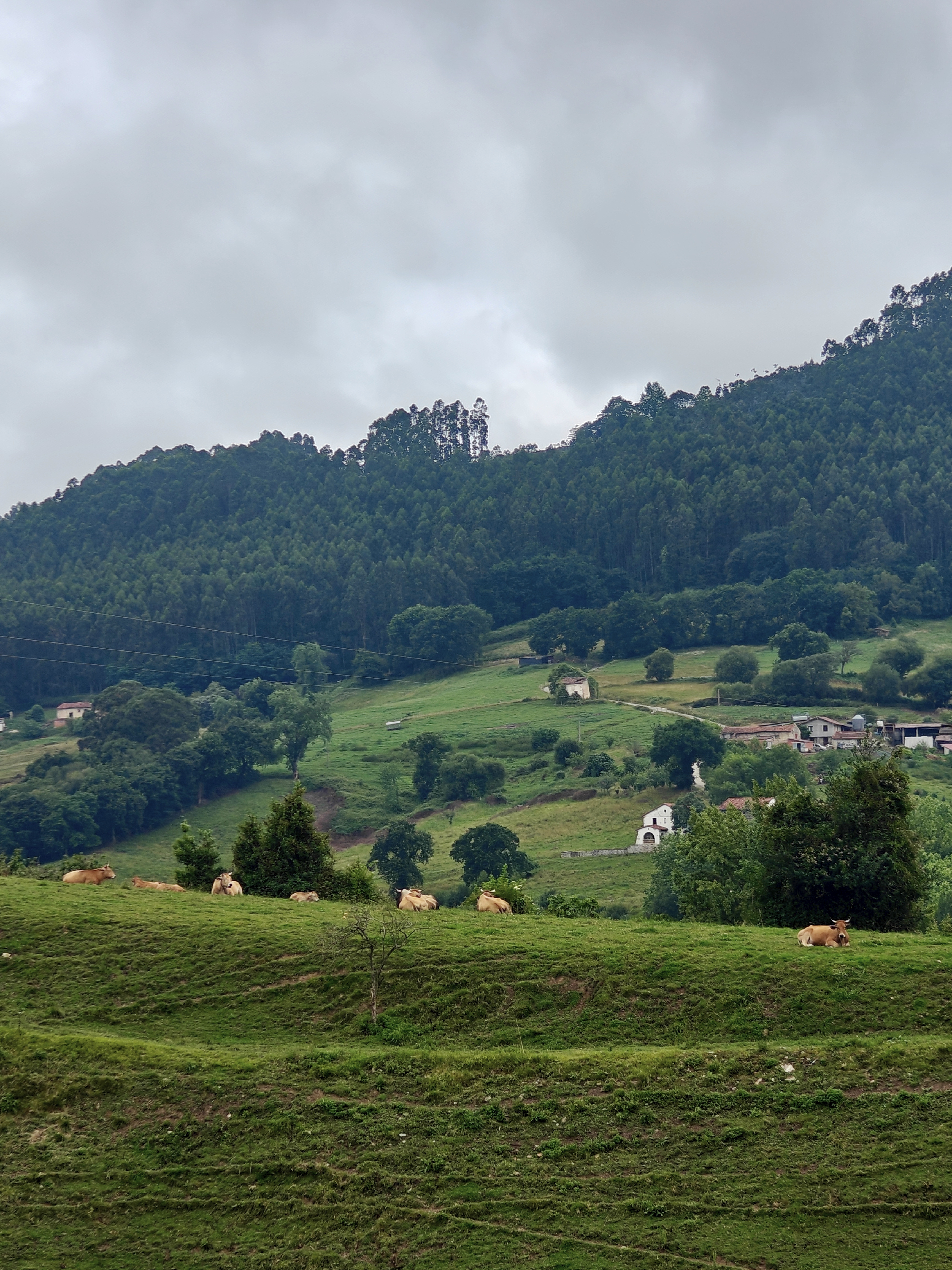Dag 14 - Comillas 🥏 Colombres 6