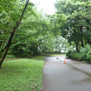 P1320016