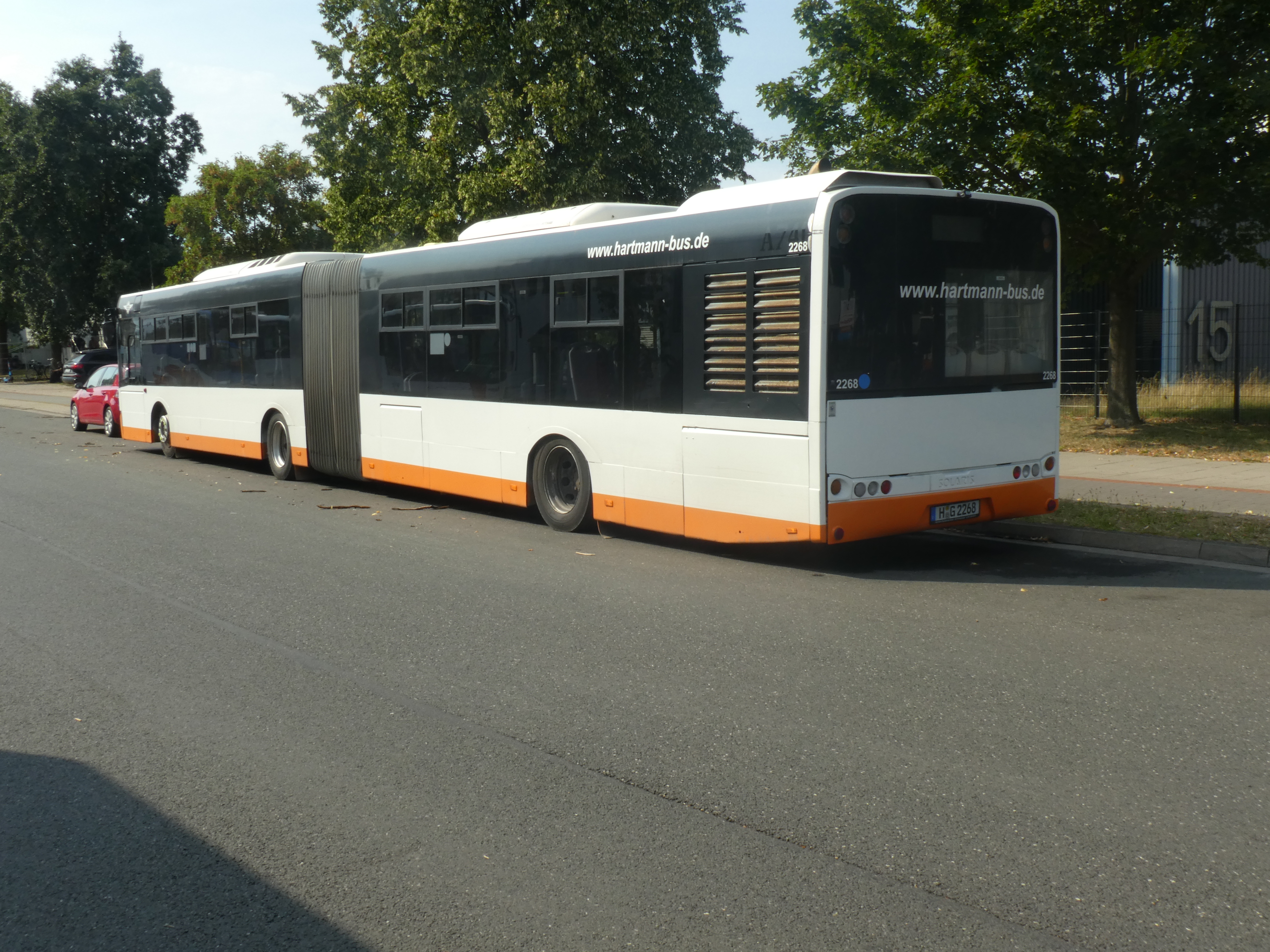 i.ibb.co/KzffJHnn/Hartmann-2268-4.jpg