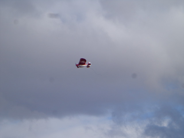 DSC00016.jpg