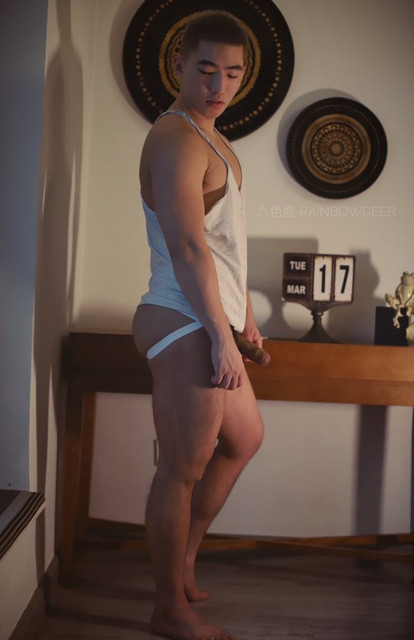 六色鹿43.jpg