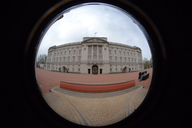 DSCF8700.jpg