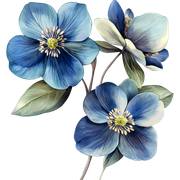 4b35df2f322e800d0ef31045ef2be3fe (1)