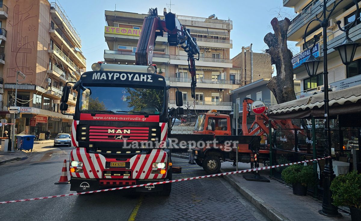 Δεντρο πλατεια Λαου016