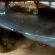 DSC00181