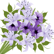 Flowers-7