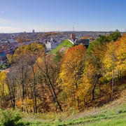 P1013209e