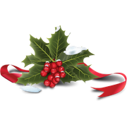 holly